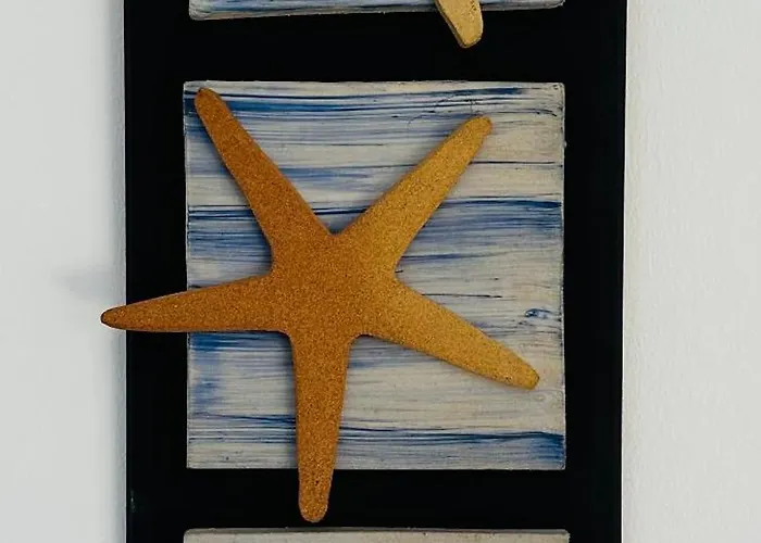 Mediterrani 캠브릴스